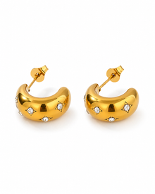 C-Shaped Zircon Earrings