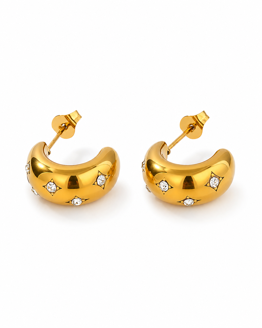 C-Shaped Zircon Earrings