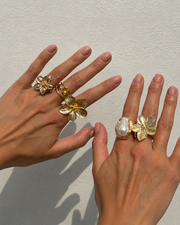 Muse Statement Ring Series