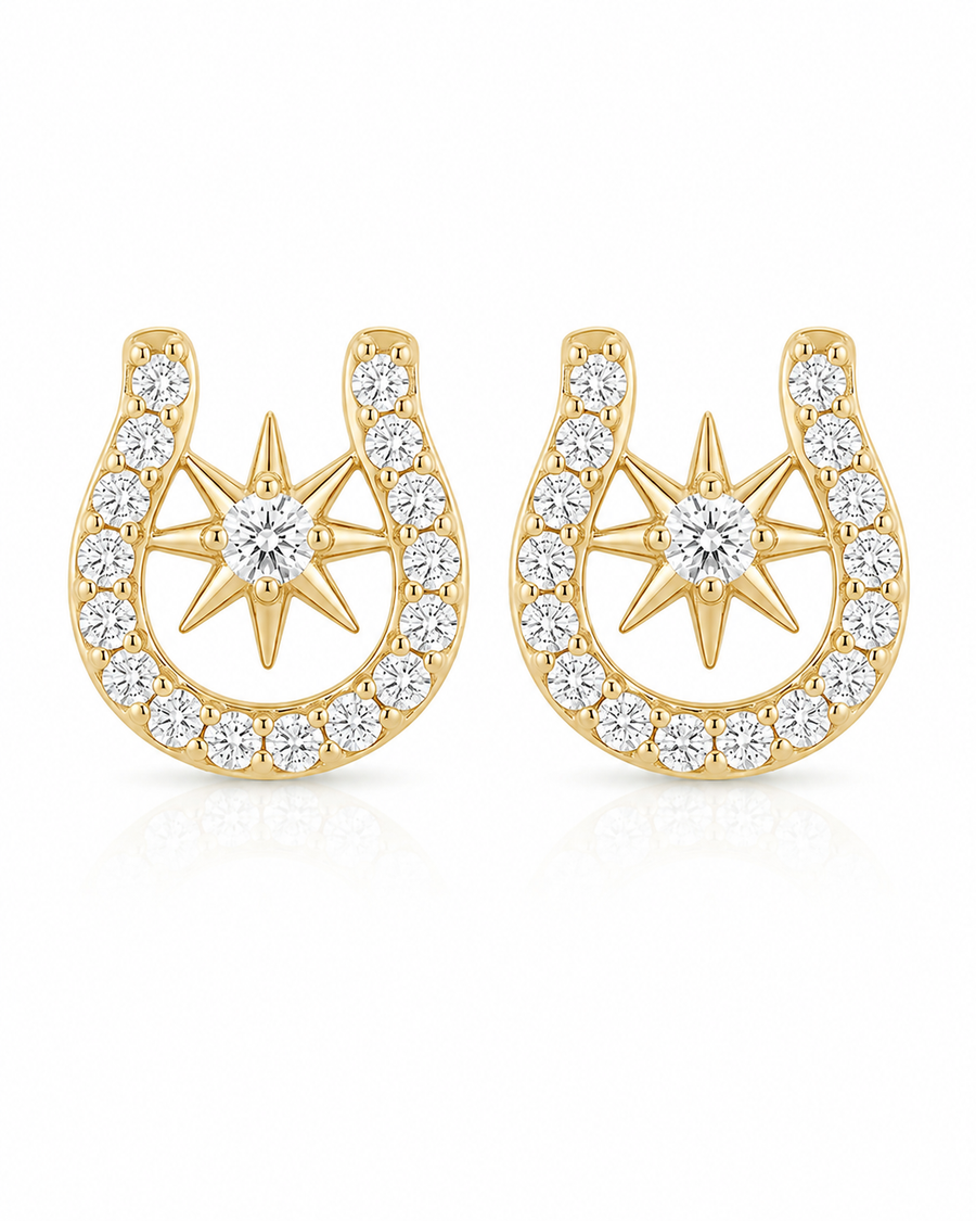 Lucky Star Horseshoe Studs