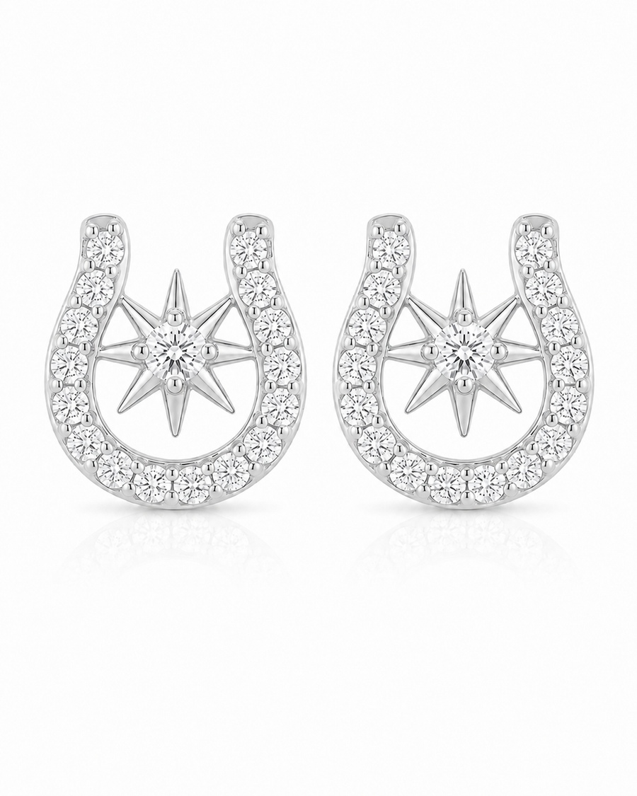 Lucky Star Horseshoe Studs