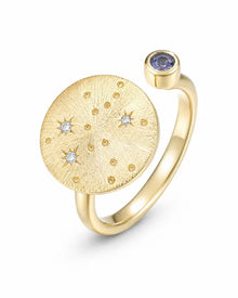December Tanzanite Adjustable Birthstone Ring by ZodiGlow, blue gold silver ring, main product view