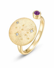 February Amethyst Adjustable Birthstone Ring by ZodiGlow, amethyst gold silver ring, main product view