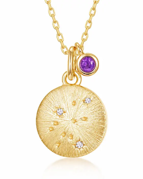 February Amethyst Birthstone & Aquarius Zodiac Necklace