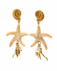Front view of Ivory Reef Starfish Drop Earrings by Zodiglow