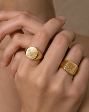 Close-up view of Nature Engraved Signet Rings by Zodiglow